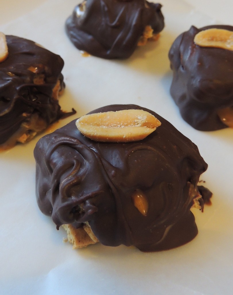 Chocolate Covered Peanut Butter Graham Cracker Sandwiches | Living Healthy in Seattle