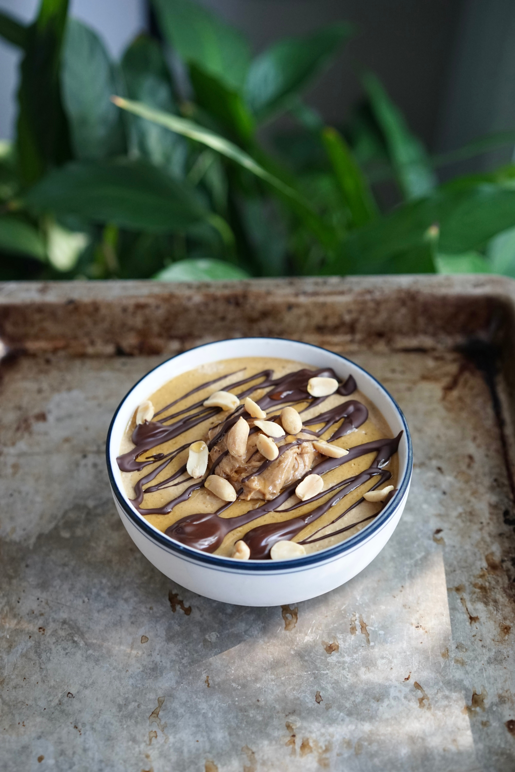 Blended Peanut Butter Pumpkin Overnight Oats with Dark Chocolate | Living Healthy in Seattle
