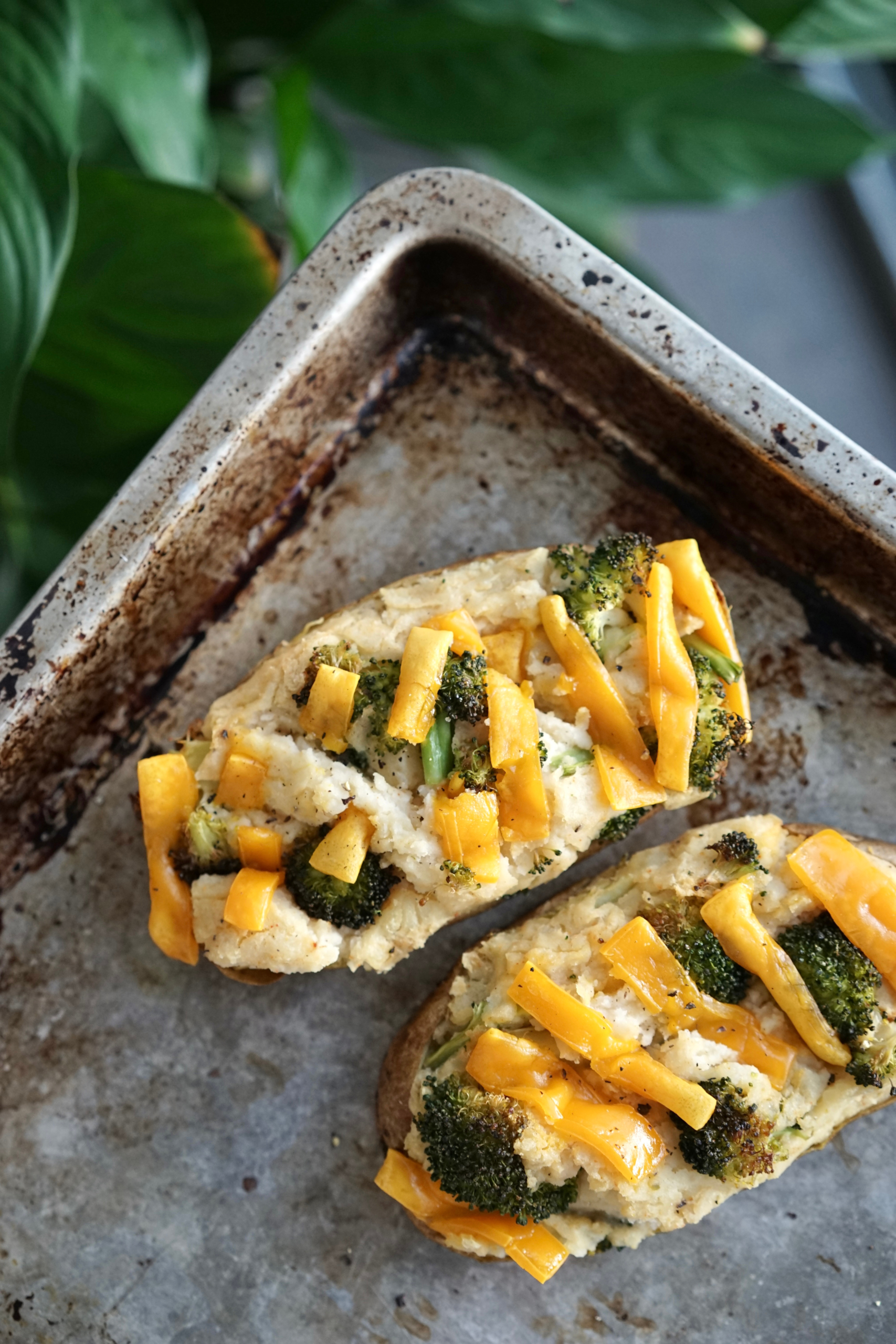 Vegan Broccoli Cheddar Twice Baked Potato with Tempeh Bacon | Living Healthy in Seattle