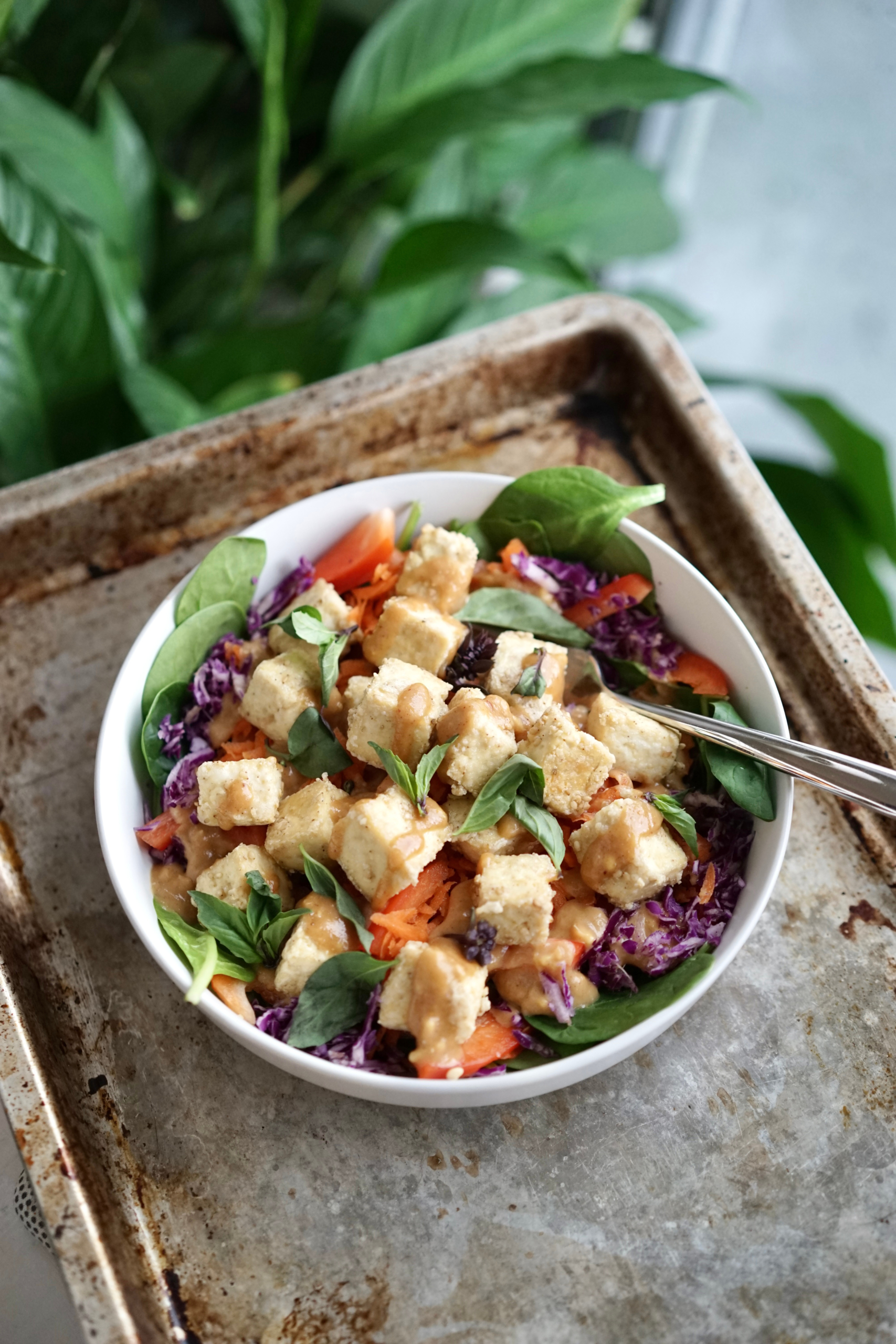 Crispy Baked Tofu & Raw Veggies with Peanut Miso Sauce | Living Healthy in Seattle