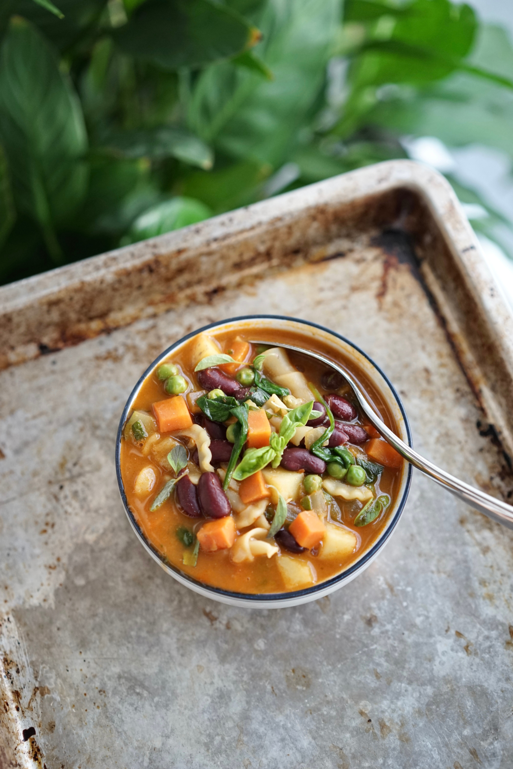 Vegan Minestrone Soup | Living Healthy in Seattle