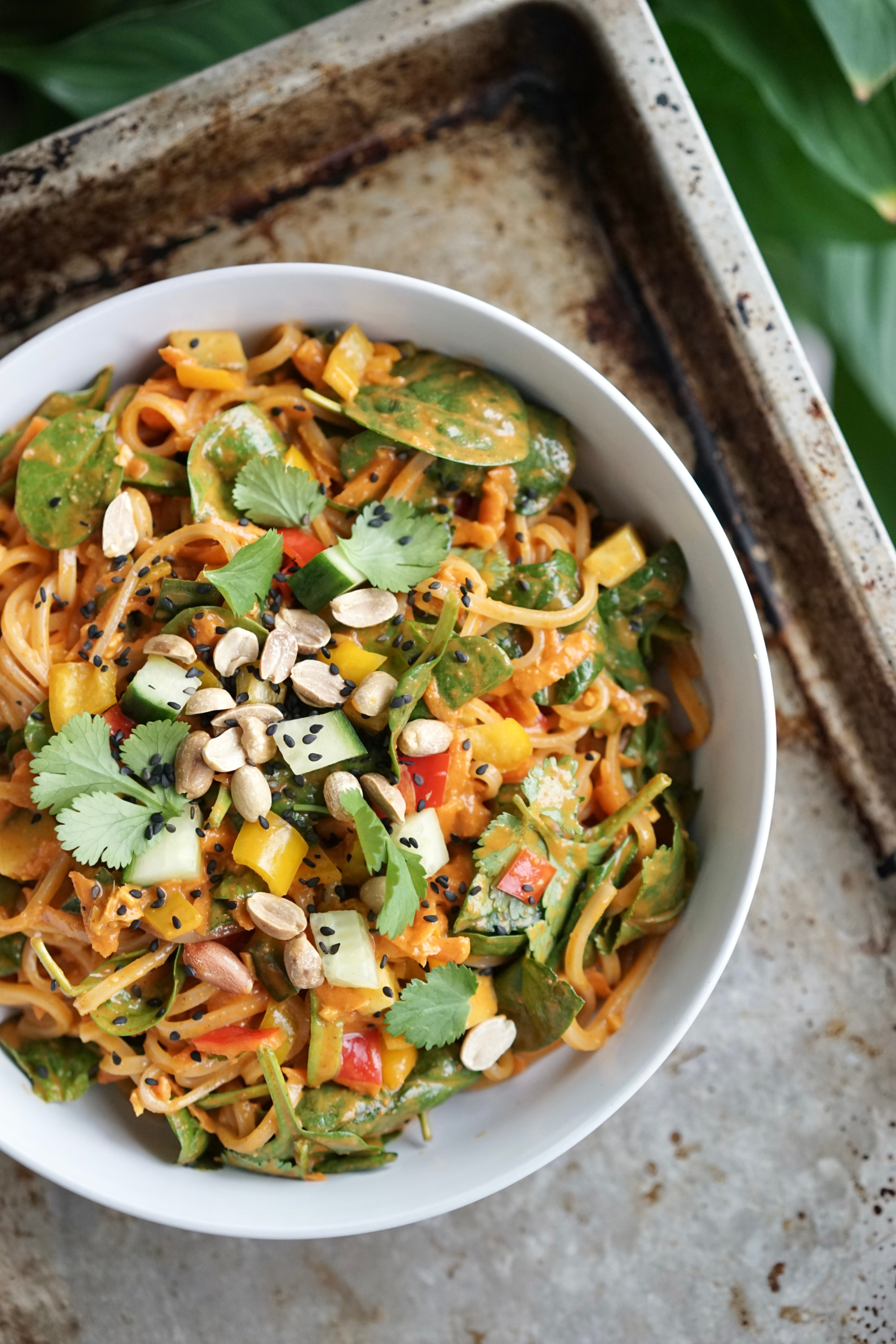 Gochujang Peanut Noodles with Veggies | Living Healthy in Seattle