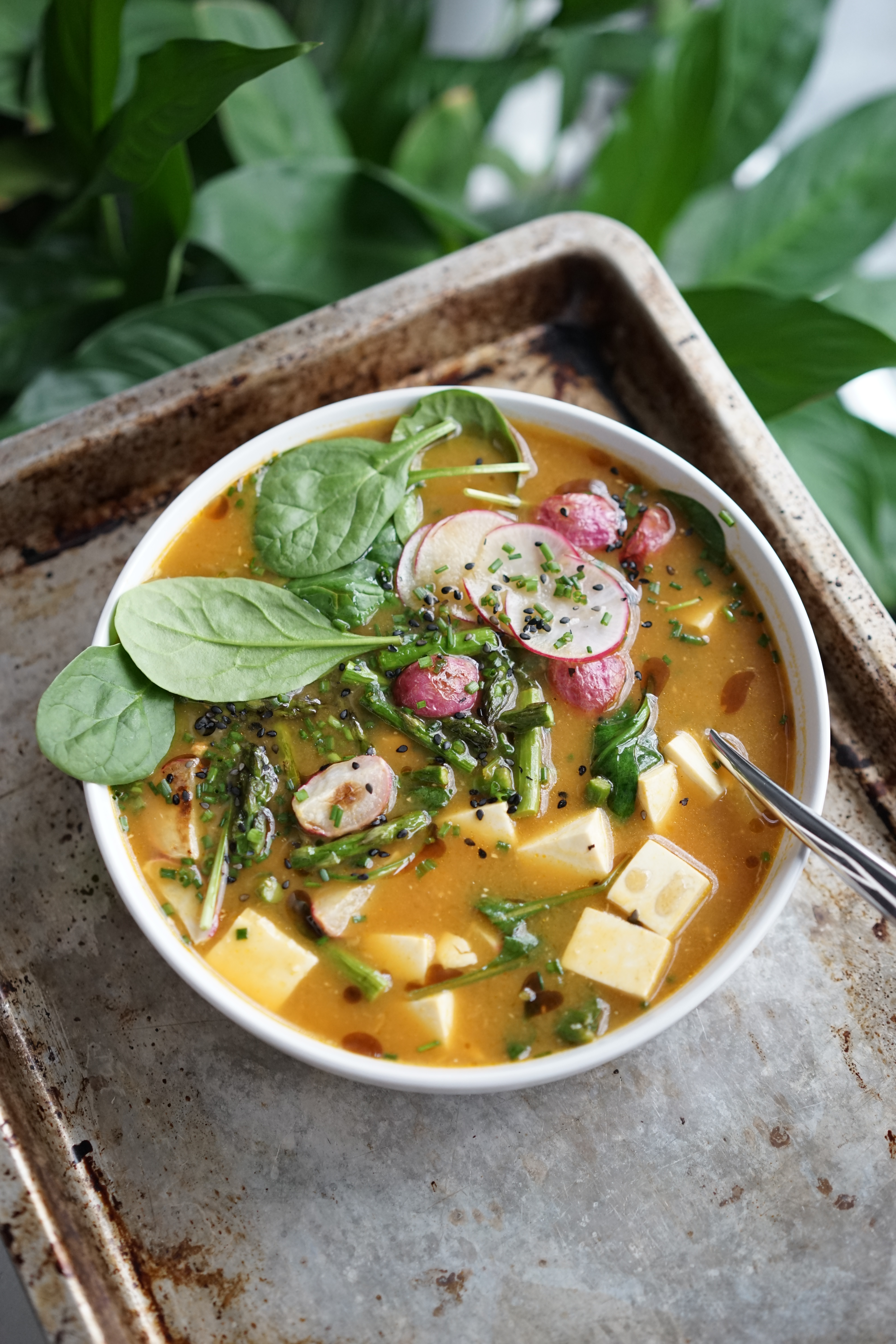 Spring Miso Veggie Soup | Living Healthy in Seattle