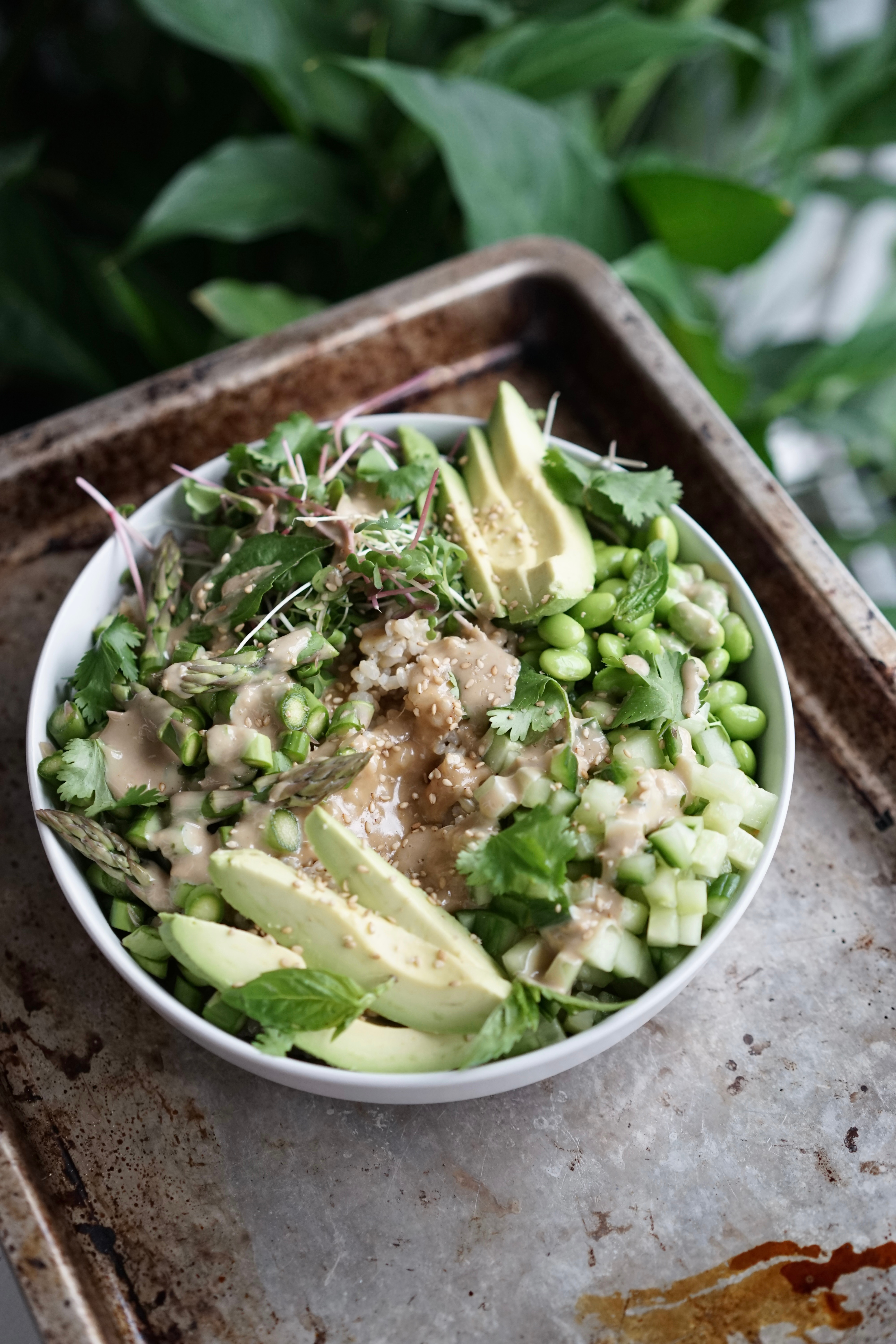Green Veggie Buddha Bowl with Tahini Miso Sauce | Living Healthy in Seattle