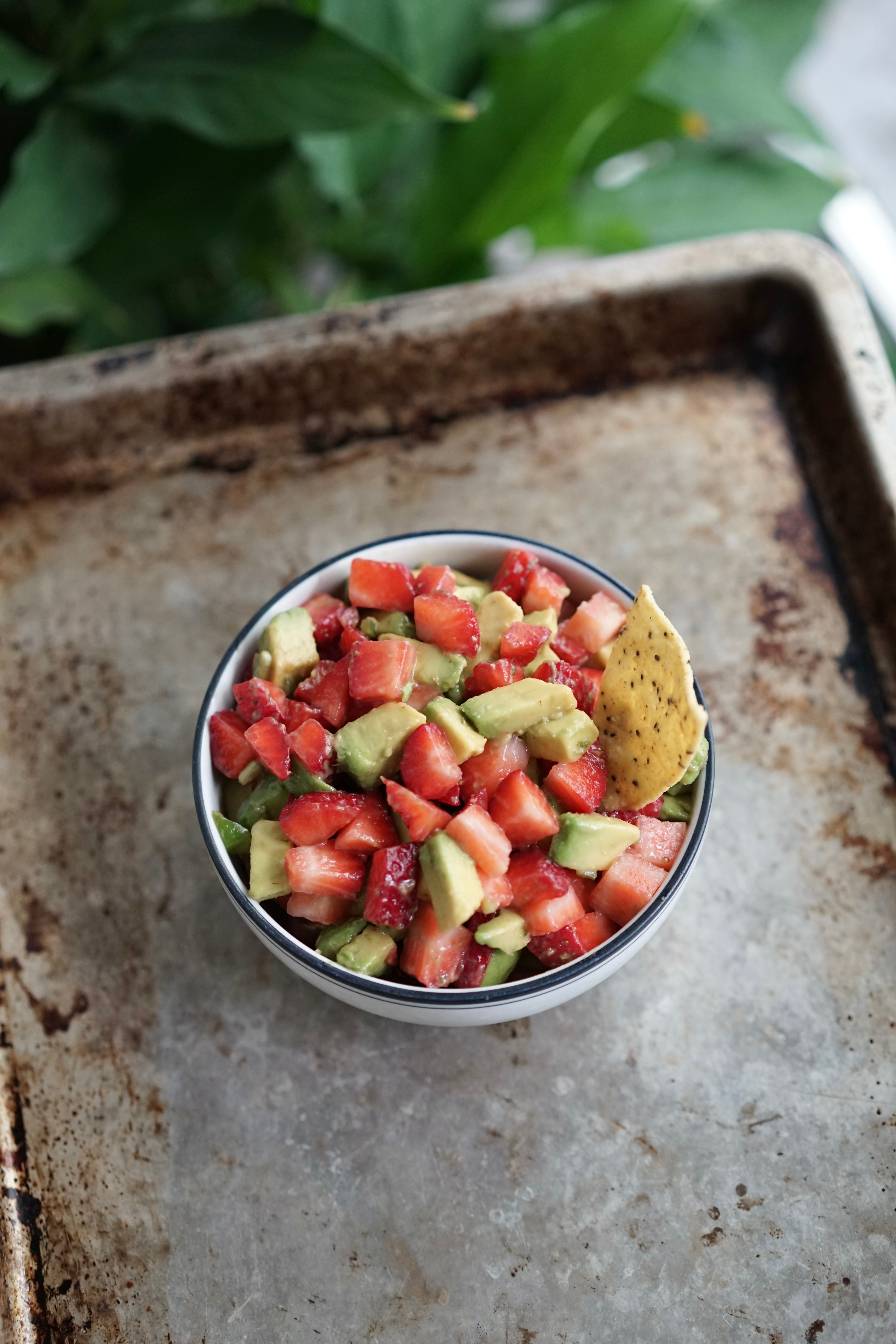 Strawberry Avocado Salsa | Living Healthy in Seattle