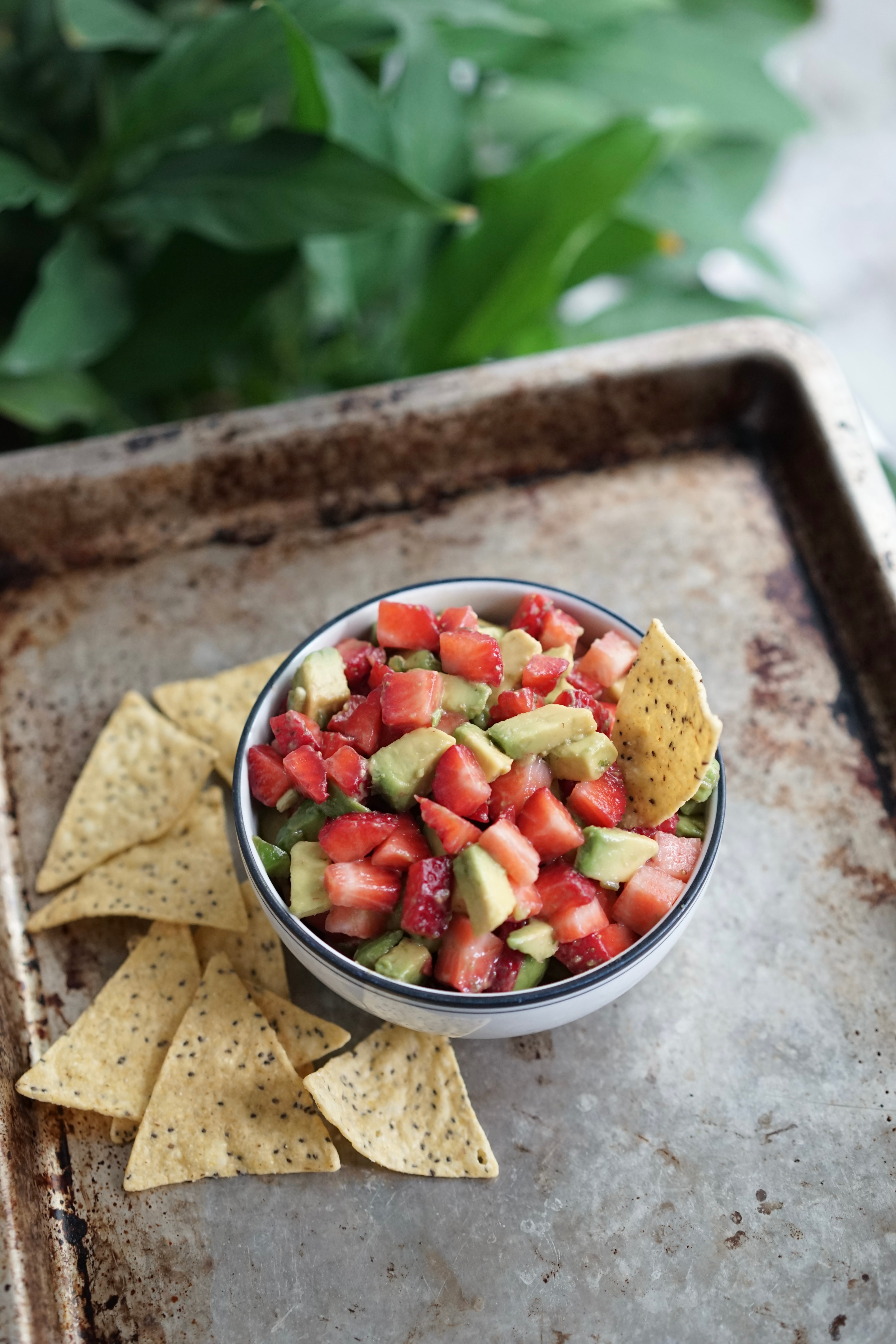 Strawberry Avocado Salsa | Living Healthy in Seattle