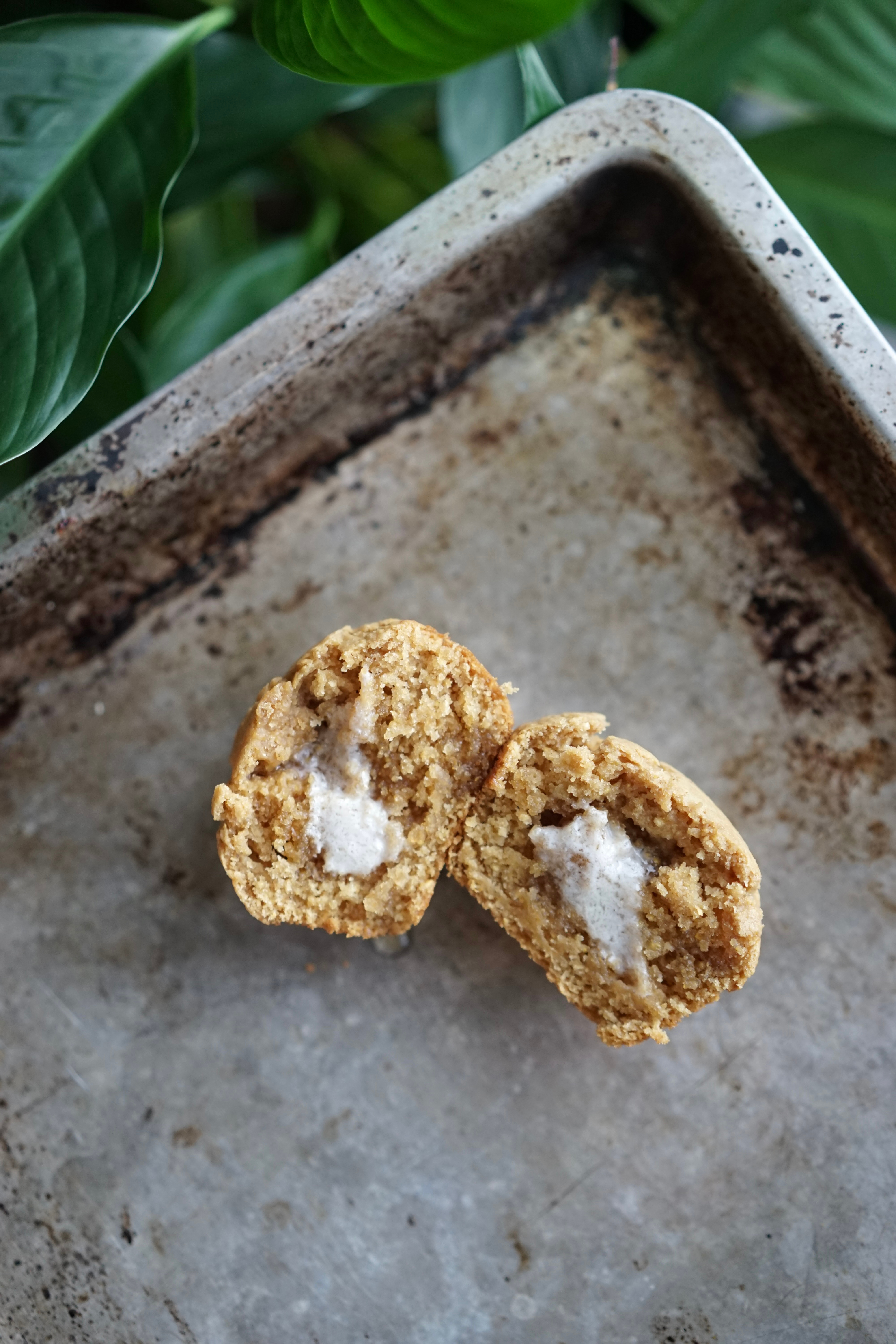 Vegan Cornbread Muffins | Living Healthy in Seattle